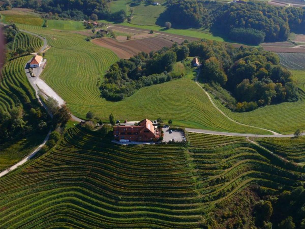 Taverna & Wine Jeruzalem Ivanjkovci المظهر الخارجي الصورة