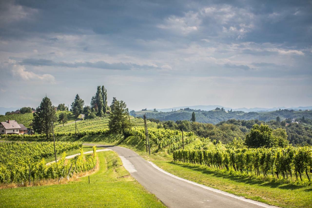 Taverna & Wine Jeruzalem Ivanjkovci المظهر الخارجي الصورة