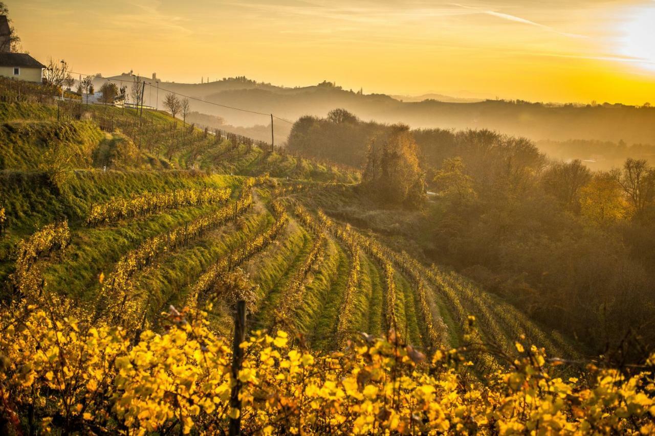 Taverna & Wine Jeruzalem Ivanjkovci المظهر الخارجي الصورة