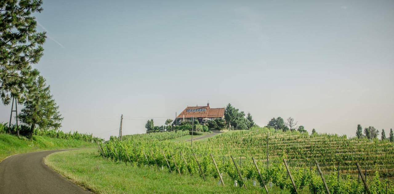 Taverna & Wine Jeruzalem Ivanjkovci المظهر الخارجي الصورة